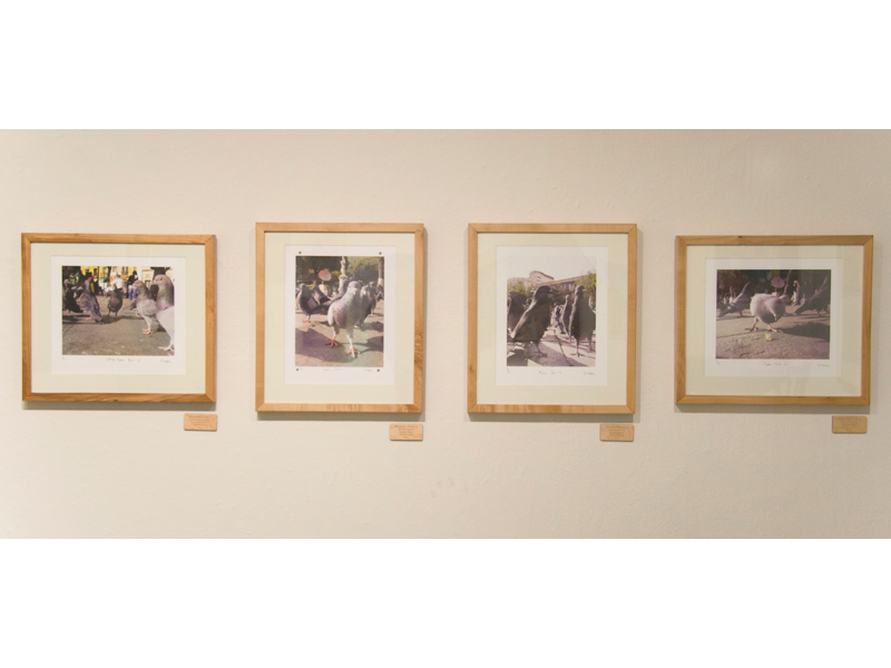 Senior Exhibition | 2011